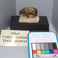          Bear picture number 10

