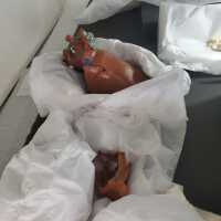          Dia de los Muertos sculpture picture number 2
