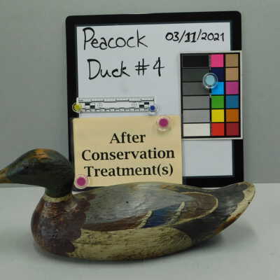 Wooden Duck