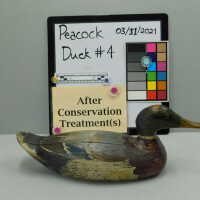          Wooden Duck picture number 3
