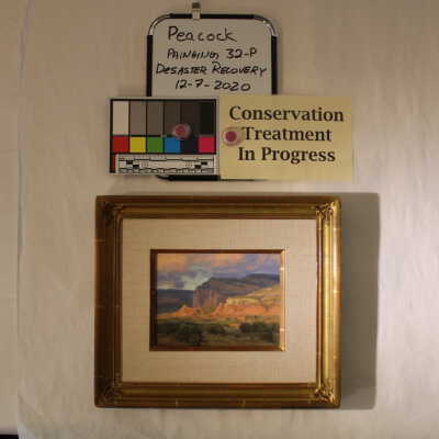 Pink and purple mountain landscape