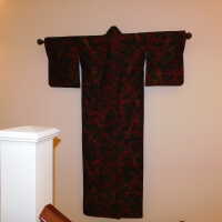          Summer Kimono picture number 4
