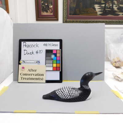 Wooden Duck