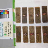          Tibetan manuscript picture number 24

