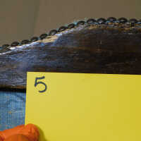          Chair 5 picture number 5
