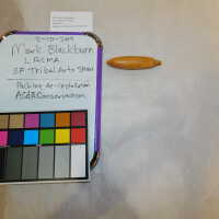          Textile and Tribal Arts Show Rehousing Project picture number 22
