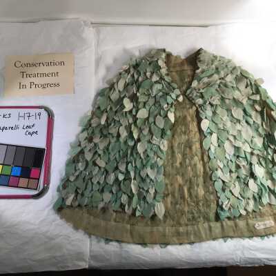 Leaf Capelet