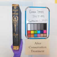          Green Street Books [Boxes: PI1, J2, G2, M1, I2, H1, F2, H2, P2, A2, R1, PA2, S1, PJI, PEE2, D2, K2, PA1, PD2, PL1, PB2, B1, PM1 C1, C2-2, K1, PH2, PL2, L1, Q1, PCC1, B2, G1, PEE1, PB1, PM2] picture number 362
