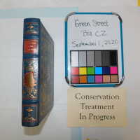          Green Street Books [Boxes: PI1, J2, G2, M1, I2, H1, F2, H2, P2, A2, R1, PA2, S1, PJI, PEE2, D2, K2, PA1, PD2, PL1, PB2, B1, PM1 C1, C2-2, K1, PH2, PL2, L1, Q1, PCC1, B2, G1, PEE1, PB1, PM2] picture number 369
