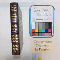          Green Street Books [Boxes: PI1, J2, G2, M1, I2, H1, F2, H2, P2, A2, R1, PA2, S1, PJI, PEE2, D2, K2, PA1, PD2, PL1, PB2, B1, PM1 C1, C2-2, K1, PH2, PL2, L1, Q1, PCC1, B2, G1, PEE1, PB1, PM2] picture number 375
