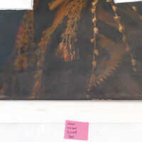 “The Optimist” - Image 61