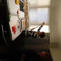 “The Optimist” - Image 180