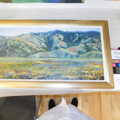 Hills and Meadow