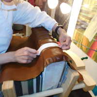          Wen picture number 17
