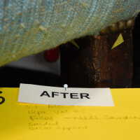          Chair 3 picture number 54
