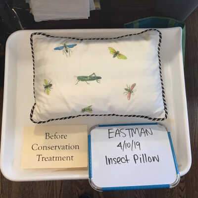 Insect Pillow