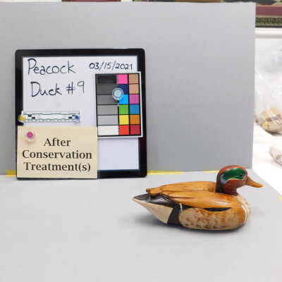 Wooden Duck