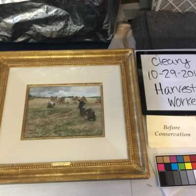Harvest workers