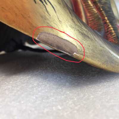 Beard right side: Area to fill