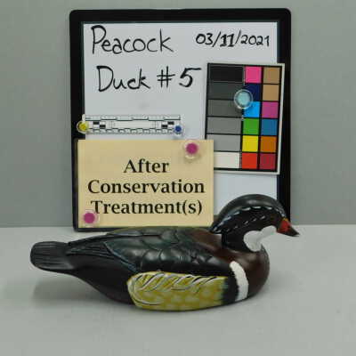 Wooden Duck