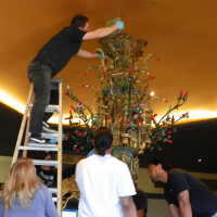          Golden Room picture number 293
