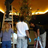          Golden Room picture number 294
