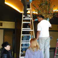         Golden Room picture number 295
