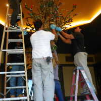          Golden Room picture number 296
