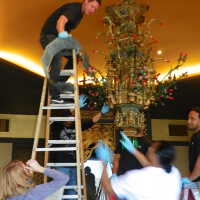          Golden Room picture number 297
