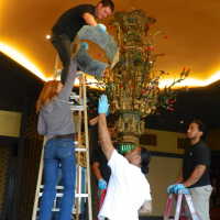          Golden Room picture number 298
