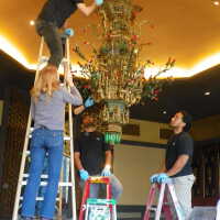          Golden Room picture number 299
