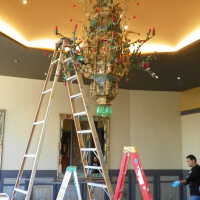          Golden Room picture number 305
