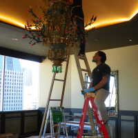          Golden Room picture number 309
