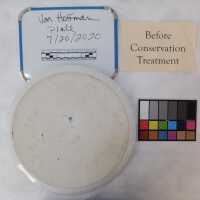          Plate picture number 2
