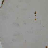          Plate picture number 3
