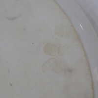          Plate picture number 4
