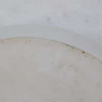          Plate picture number 5
