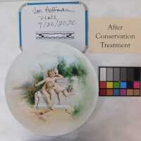          Plate picture number 6
