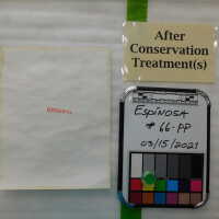          Women with braids and shoulder packs picture number 4
