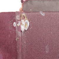          Family Bible picture number 13
