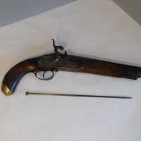          Pistol picture number 29
