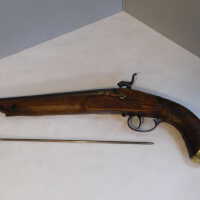          Pistol picture number 31
