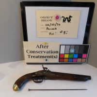          Pistol picture number 34
