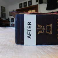          Family Bible picture number 198
