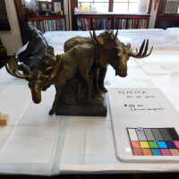         Bronze Mooses picture number 1
