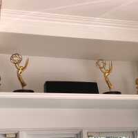          Emmys In Situ (Before)
