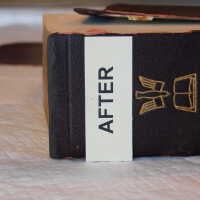          Family Bible picture number 199
