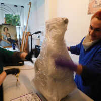          Textile and Tribal Arts Show Rehousing Project picture number 219
