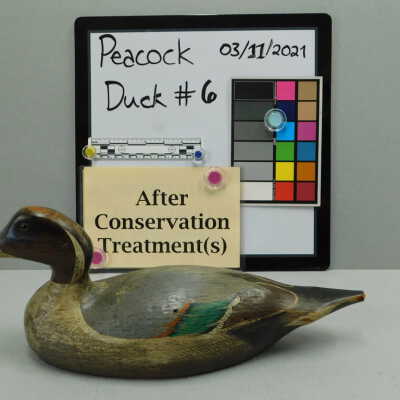 Wooden Duck