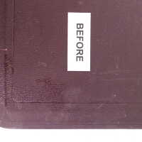          Family Bible picture number 136
